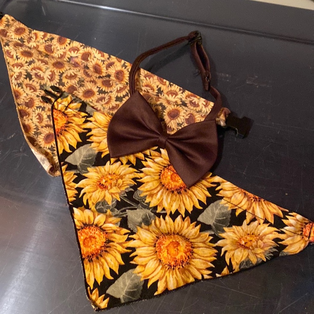 Bow and bandannas